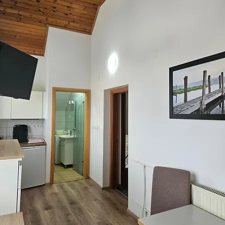 Dezman Apartments & Rooms Kranj Exterior photo